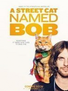 Sokak Kedisi Bob tek part izle